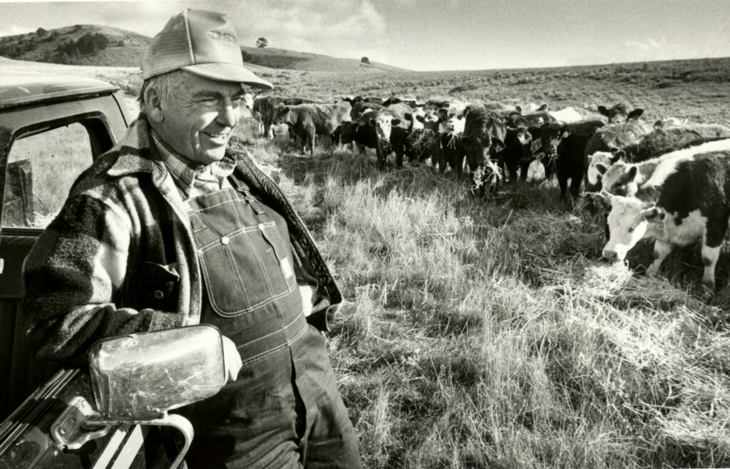 Cal Poly rancher standing by a truck in front of a herd of cattle in an open field, smiling in overalls.