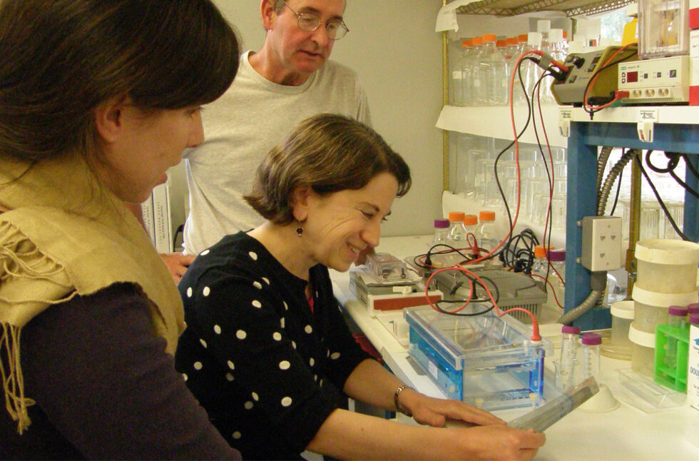 Researchers conducting a science experiment with lab equipment and gel electrophoresis